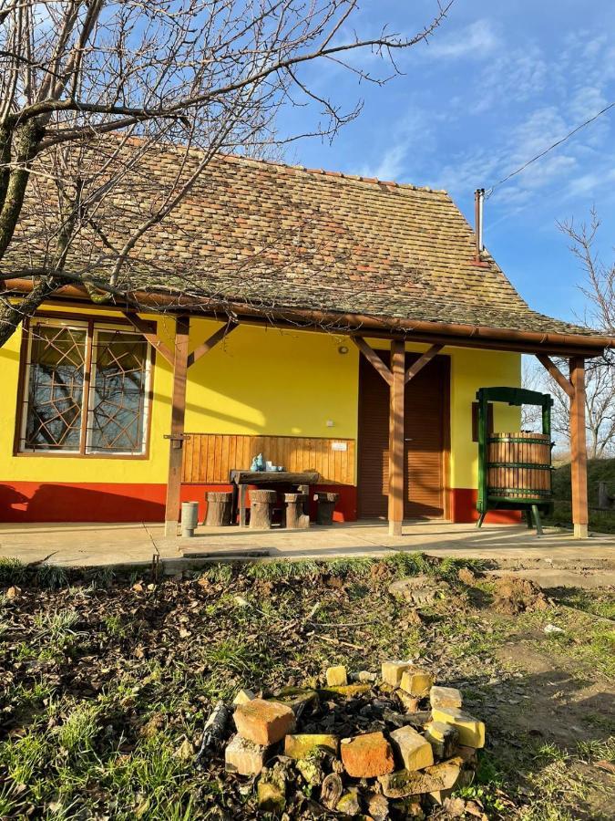 Het Hongaarse Wijnhuis Mohács Екстериор снимка